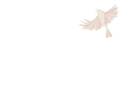 Project Soar Logo
